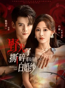 短剧《野犬撕碎了那女孩的白婚纱》78集短剧1080P高清免费观全集