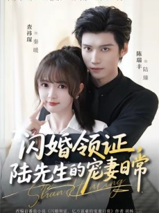 短剧《闪婚领证，陆先生的宠妻日常》86集短剧1080P超清免费看