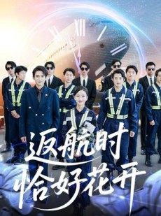 短剧《返航时恰好花开》101集短剧无广告全集免费看
