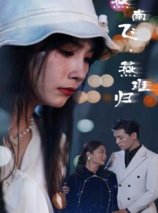 短剧《燕南飞，燕难归》31集短剧全集免费在线一口气看完