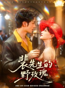 短剧《裴先生的野玫瑰》72集短剧高清流畅在线免费看