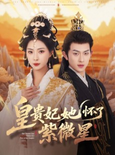 短剧《皇贵妃她怀了紫薇星》80集短剧流畅播放无卡顿