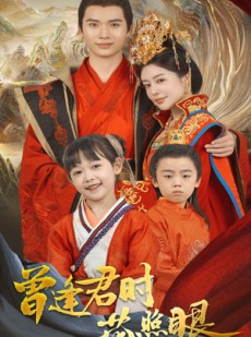短剧《曾逢君时花照眼》62集短剧全集高清极速观看体验
