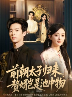 短剧《前朝太子归来，赘婿岂是池中物》80集短剧超清画质在线一口气看完