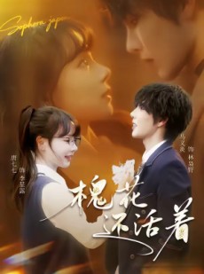 短剧《槐花还活着》70集短剧完整版免费畅享观看