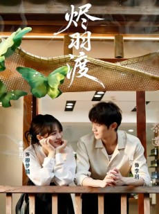 短剧《烬羽渡》50集短剧高清全集免费畅看