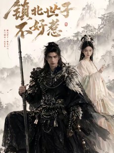 短剧《镇北世子不好惹》40集短剧超清画质免费追剧