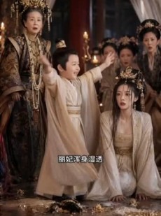 短剧《满朝文武相求，只求她收锋芒》50集短剧在线解锁全集精彩不断