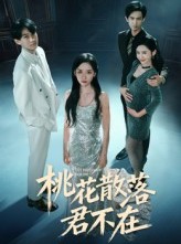 短剧《下跪感谢小三替我怀孕》52集短剧1080P高清免费看