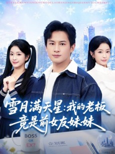 短剧《雪月满天星：我的老板竟是前女友妹妹》65集短剧免费高清资源在线看