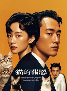 短剧《猫的报恩》60集短剧完整版在线畅享观看