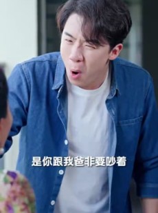 短剧《小家故事》30集短剧全集免费缓存随时追