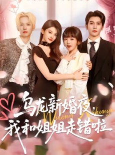 短剧《乌龙新婚夜，我和姐姐走错啦》59集短剧高清全集在线速看