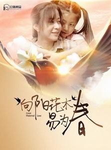 短剧《向阳花木易为春》101集短剧海外版中文字幕