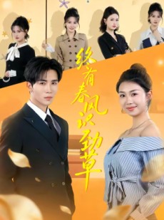 短剧《终有春风识劲草》80集短剧超清画质在线免费看