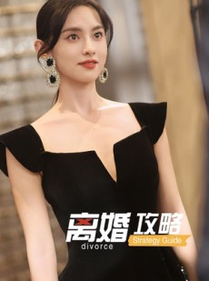 短剧《离婚攻略》53集短剧超清画质免费观赏