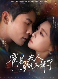 短剧《霍总夫人马甲又掉了》80集短剧全剧在线免费观看