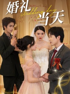 短剧《婚礼当天》30集短剧全集高清下载后离线看