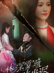短剧《林深雾暗晓光迟》50集短剧高清流畅在线观看