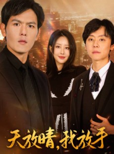 短剧《天放晴，我放手》35集短剧一键直达大结局