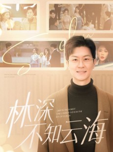 短剧《林深不知云海》84集短剧极速播放全集免费追