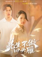 短剧《此生不做回头雁》38集短剧在线免费观看全集无删减