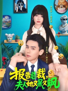 短剧《报告总裁，夫人她又呆又飒》82集短剧高清无删减免费看