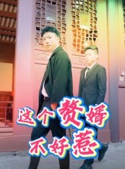 短剧《这个赘婿不好惹》27集短剧高清完整版免费观看
