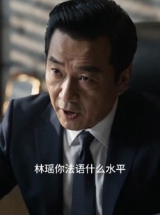 短剧《发光吧，翻译官》74集短剧全剧免费高清观看