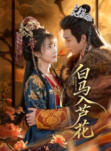 短剧《白马入芦花》59集短剧高清全集在线免费赏