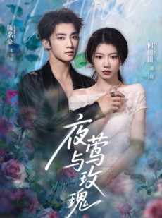 短剧《夜莺与玫瑰》66集短剧超清画质在线免费览