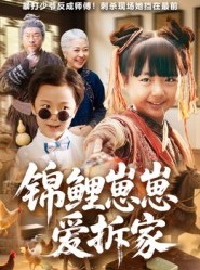 短剧《锦鲤崽崽爱拆家》80集短剧在线畅享完整剧情