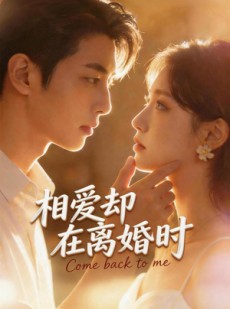 短剧《相爱却在离婚时》61集短剧在线观看全集不卡顿