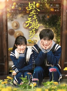 短剧《败犬与天鹅颈》71集短剧高清全集在线一键观看