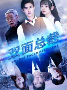 短剧《双面总裁》80集短剧全集1080P高清在线观看