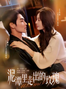 短剧《泥潭里走出的玫瑰》91集短剧1080P在线免费观看