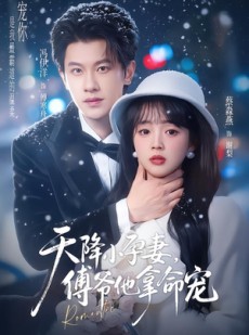 短剧《天降小孕妻，傅爷他拿命宠》76集短剧免费在线观看无广告