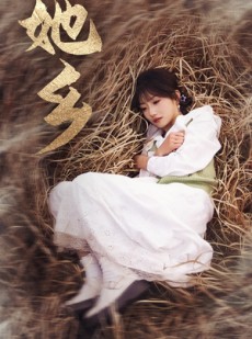 短剧《她乡》35集短剧蓝光画质全集免费观看