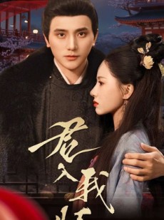 短剧《君入我怀》60集短剧1080P高清在线观看