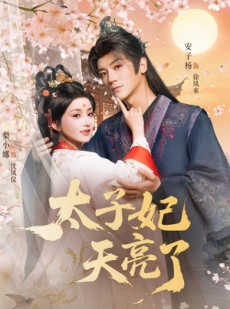 短剧《太子妃天亮了》80集短剧全剧集高清免费看
