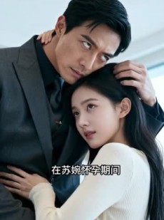 短剧《晚来情深（二）》15集短剧无广告在线看全集