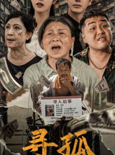 短剧《寻孤》78集短剧官方正版全集免费观看