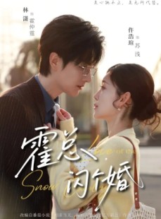 短剧《霍总闪个婚》86集短剧全集免费在线观览