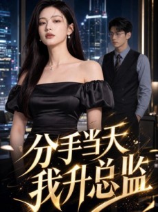 短剧《分手当天我升总监》55集短剧全集高清免费观看