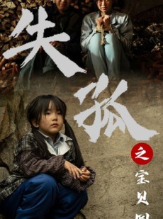 短剧《失孤之宝贝回家》71集短剧每日更新在线观看