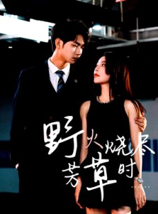 短剧《野火烧尽芳草时》65集短剧蓝光画质无广告观看