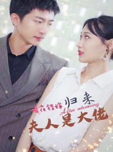 短剧《一夜错嫁归来夫人是大佬》101集短剧无广告在线一口气追完