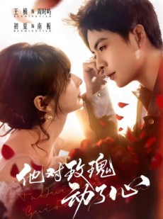 短剧《他对玫瑰动了心》68集短剧1080P在线看全集