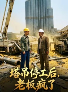 短剧《塔吊停工后老板疯了》52集短剧完整版免费畅享