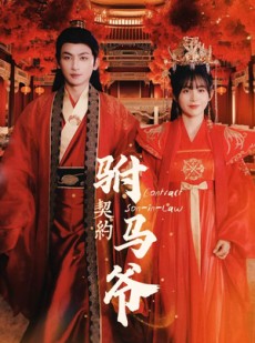 短剧《契约驸马爷》74集短剧极速缓冲流畅观看